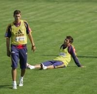 MUTU: "TEST DE MATURITATE" - Adrian Mutu a declarat, dupa antrenamentul - Nationala